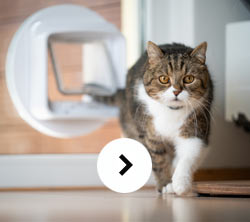 Instant Glass Dog & Cat Flap Service